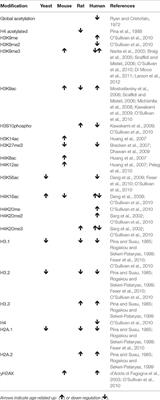 Epigenetic Regulation of Cellular Senescence and Aging